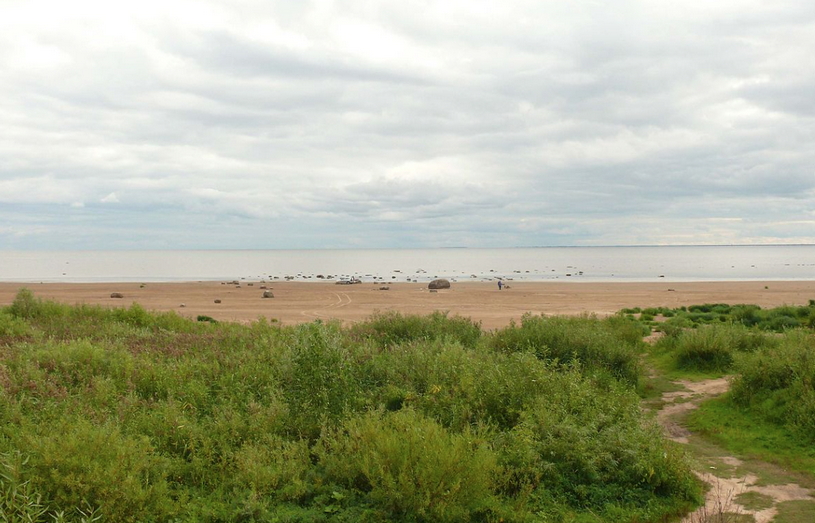 Озеро Ильмень, побережье летом