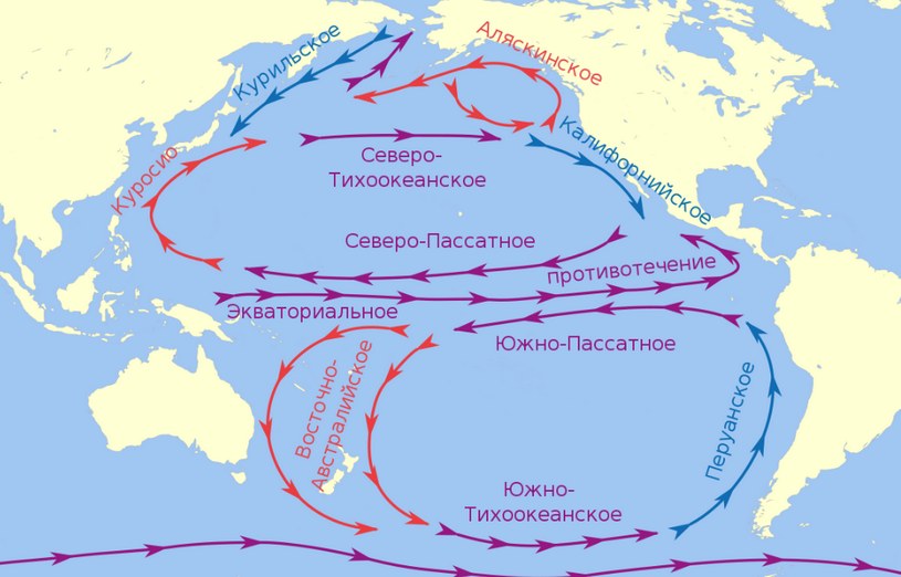 Холодные течения Тихого океана, схема, на карте