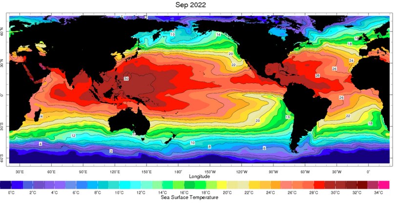 Температура воды в Тихом океане на карте, сентябрь