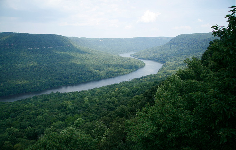Река Теннесси течет среди холмов в США