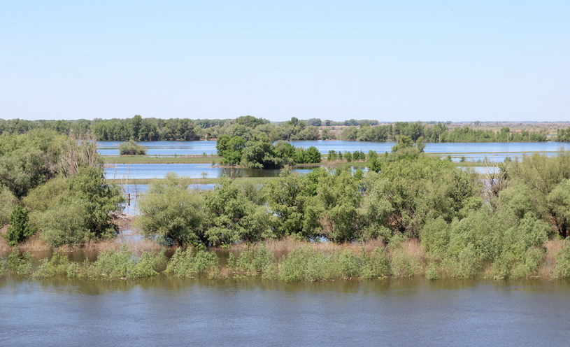 Река в половодье в Астраханской области