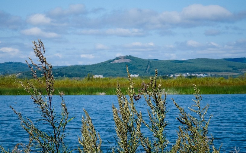 Дальний Восток России, озеро, вид на гору, природа
