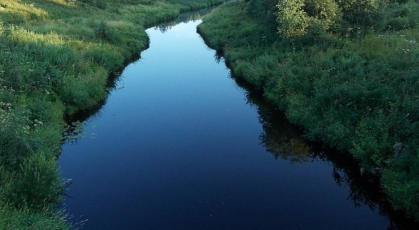 Река Воронежка летом