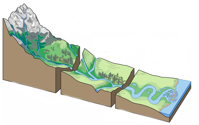 Русло реки, схема со всеми частями