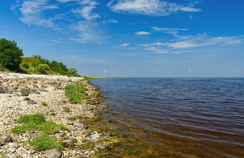 Озеро Ильмень, участок с высоким и обрывистым берегом