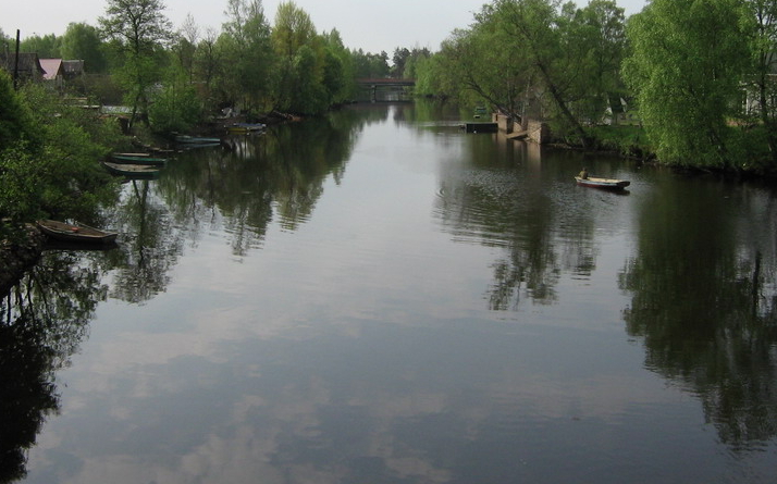 Река Селезневка в Выборгском районе летом