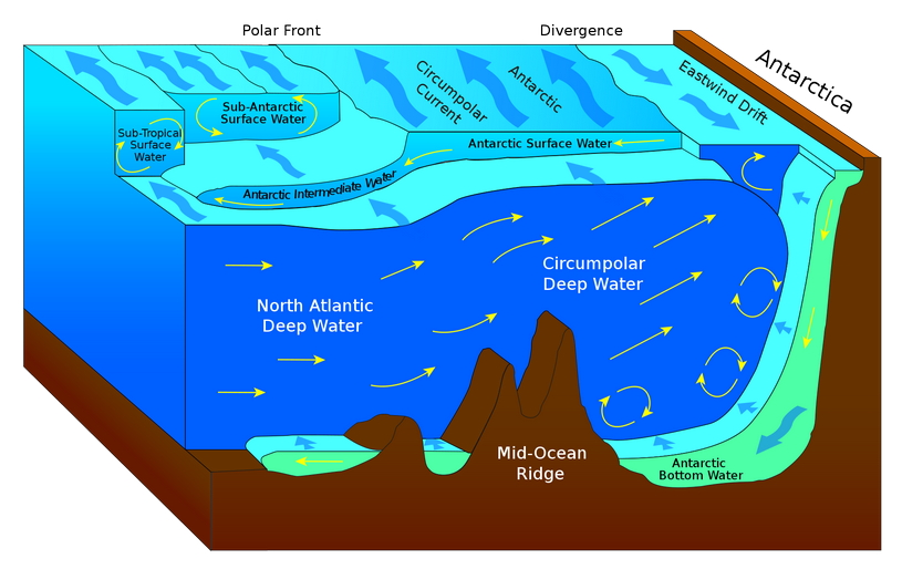 нтарктическая конвергенция, Южный океан, схема