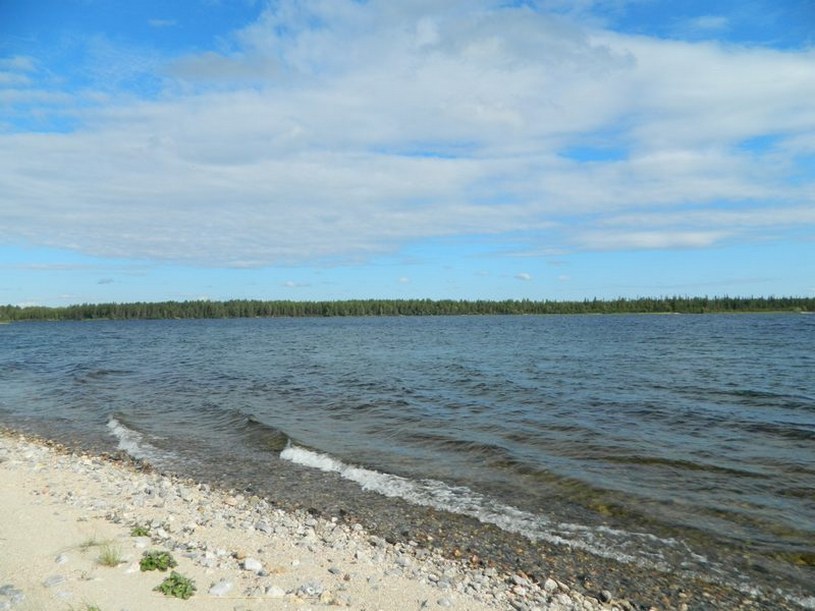 Озеро Кандас в Мурманской области, каменистый пляж, пейзаж