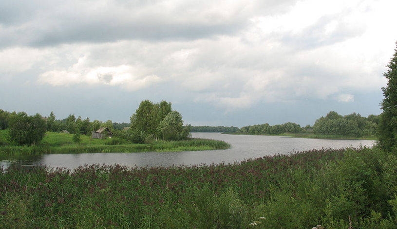 озеро Островенское в Новгородской области