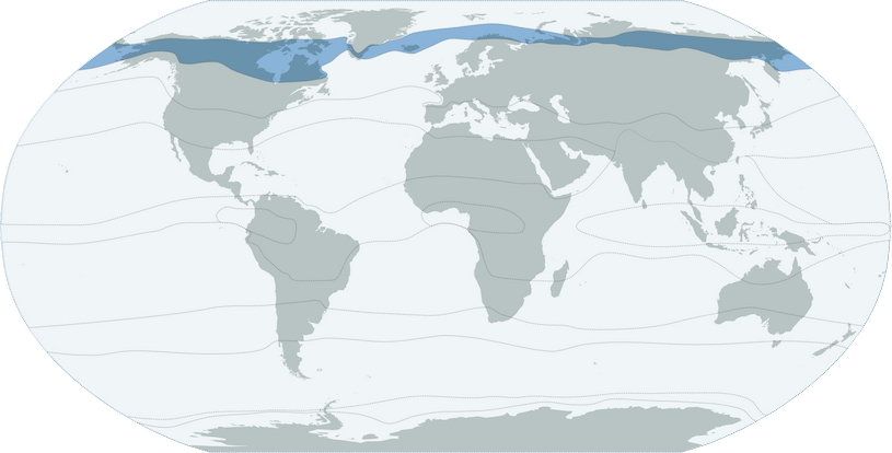Субполярный климатический пояс, зона в Тихом океане, карта