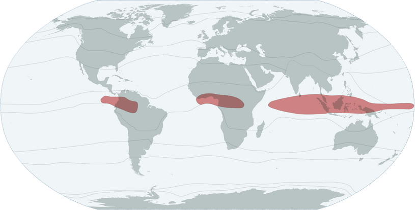 Экваториальный климатический пояс, Тихий океан, карта