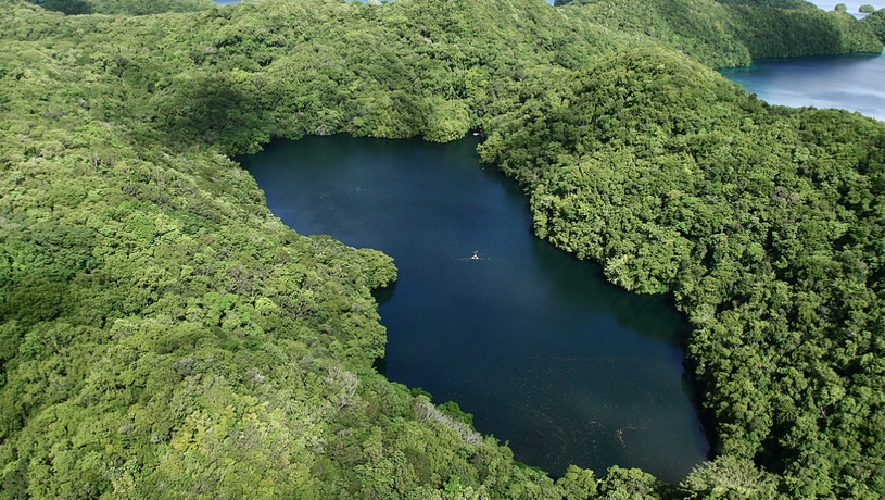 Архипелаг Палау, озеро в тропическом лесу