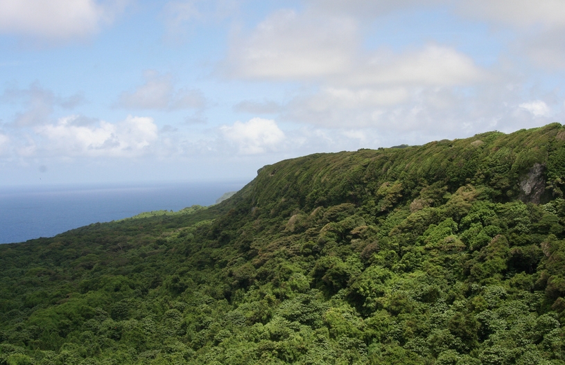 Тропический лес, архипелаг Тонга, красивый вид на океан