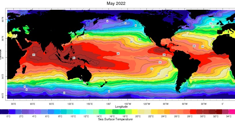 Температура воды в Тихом океане на карте за май