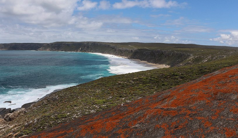 Остров Кенгуру, Австралия, скалы и Тихий океан, красивый вид