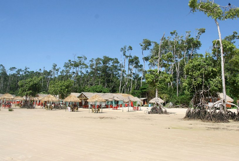 Остров Маражо, пляж, пальмы