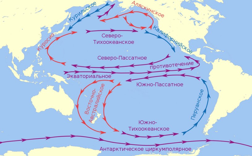 Течения Тихого океана на карте