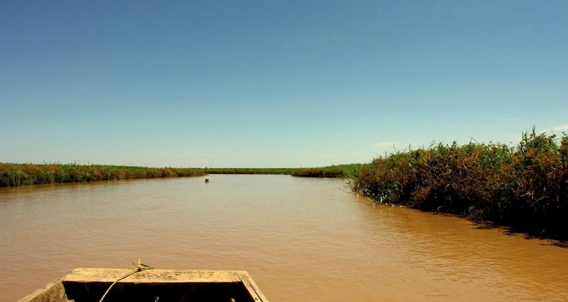 Один из притоков Амазонки с мутной водой