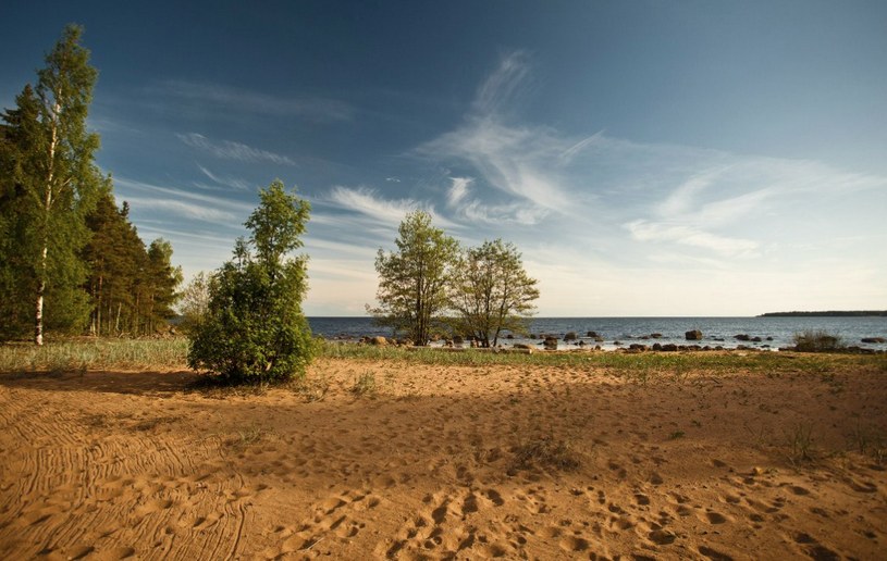 Песчаный пляж летом, солнечно, Финский залив, отдых на берегу