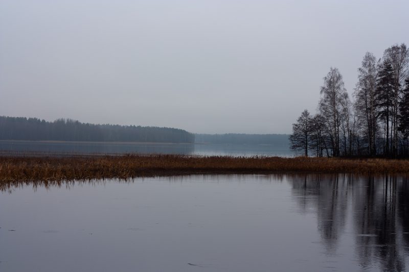 Озеро Александровское, Выборгский район, туман, ноябрь, осень