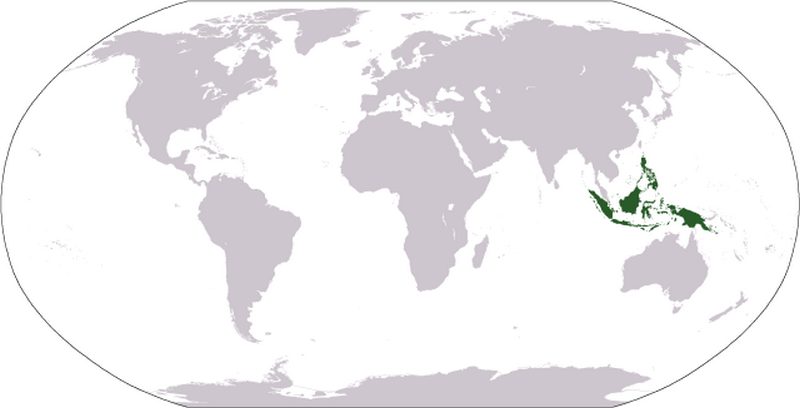 Карта мира, Малайский архипелаг