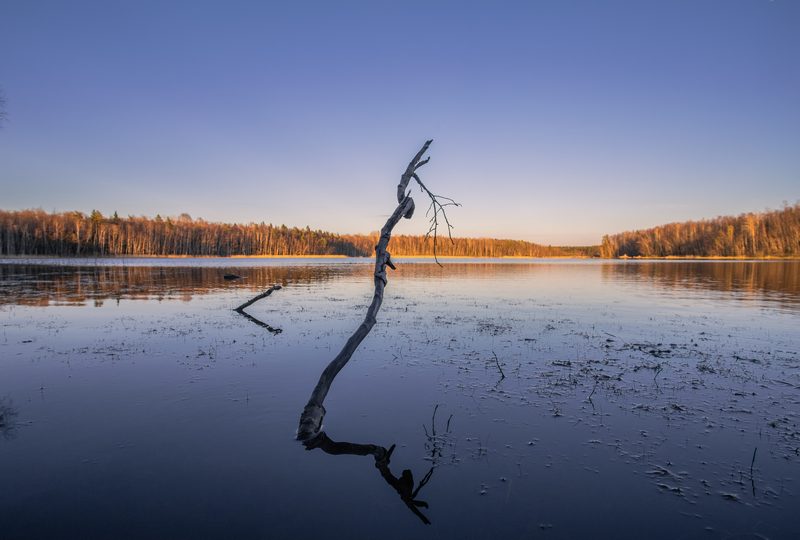 Озеро, Ленинградская область, вечерняя рыбалка